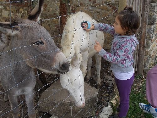 fattoria01